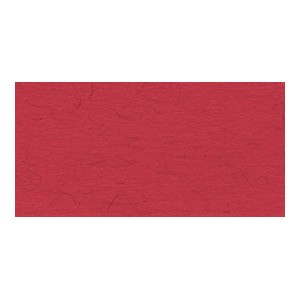 Papir u boji A4 300g pk50 Heyda 20-47164 24 crveni