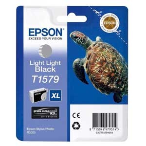 Epson T1579 R3000 - LIGHT LIGHT BLACK