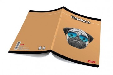 Obrazac školski Pisanka D COOL Target DEČKI