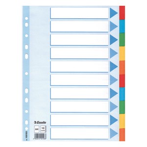 Pregrada kartonska A4 kolor 10listova Esselte 100193