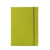 NOTES BLOOM BIG B5 KIWI ZELENI OG